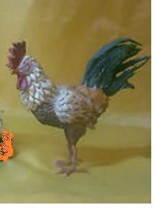 Animali vari